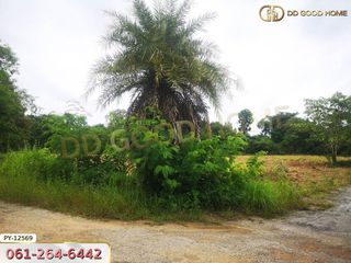 For sale land in Chok Chai, Nakhon Ratchasima