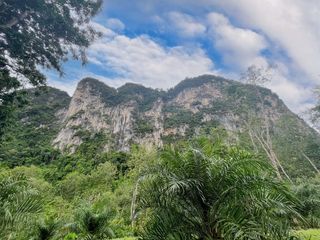 For rent land in Mueang Krabi, Krabi