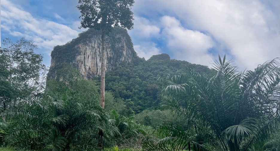 For rent land in Mueang Krabi, Krabi