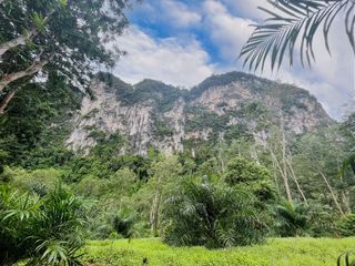 For rent land in Mueang Krabi, Krabi