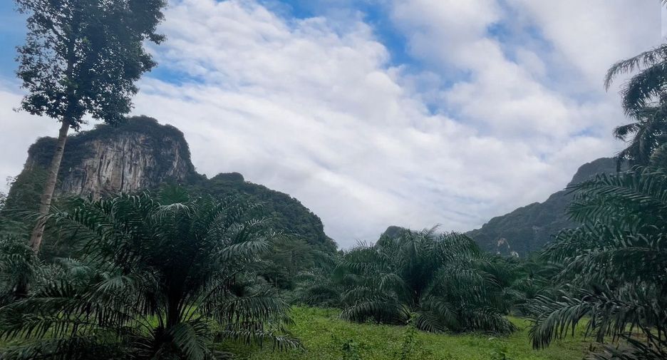 For rent land in Mueang Krabi, Krabi