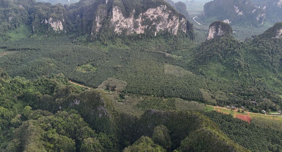 For rent land in Mueang Krabi, Krabi