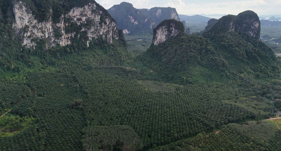 For rent land in Mueang Krabi, Krabi