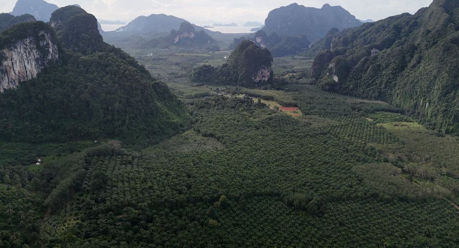 For rent land in Mueang Krabi, Krabi