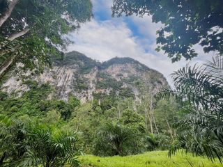 For rent land in Mueang Krabi, Krabi