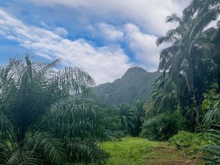 For rent land in Mueang Krabi, Krabi