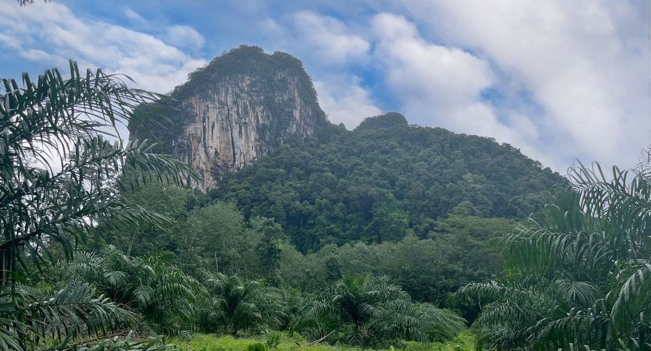 For rent land in Mueang Krabi, Krabi