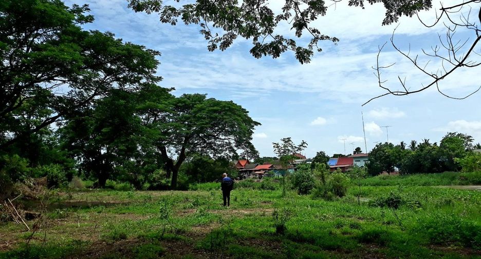 For sale land in Wiset Chai Chan, Ang Thong