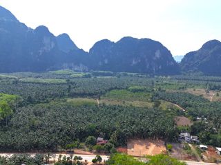 ขาย ที่ดิน ใน เมืองกระบี่, กระบี่