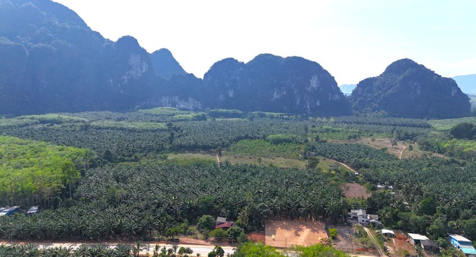 ขาย ที่ดิน ใน เมืองกระบี่, กระบี่