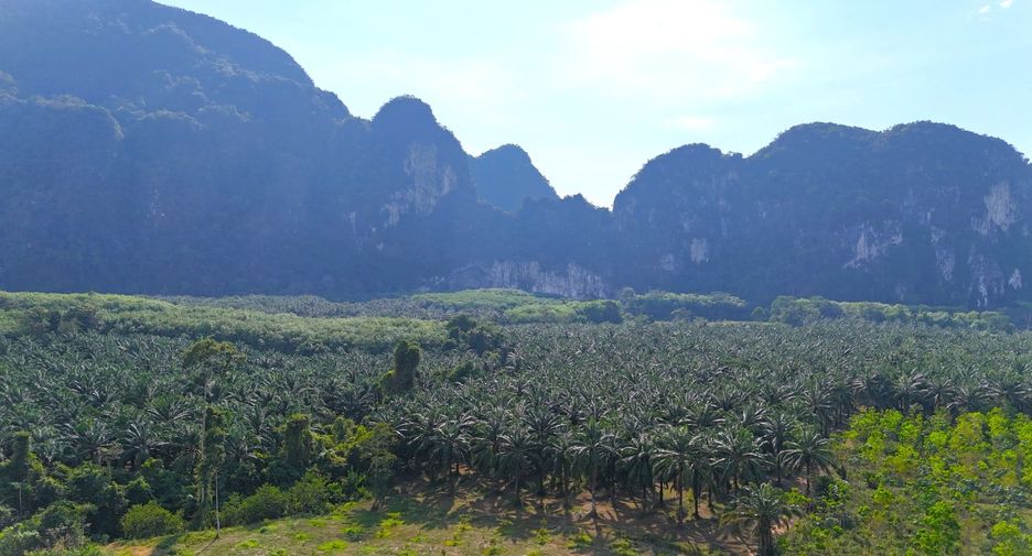 ขาย ที่ดิน ใน เมืองกระบี่, กระบี่
