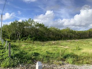 For sale land in Takua Thung, Phang Nga