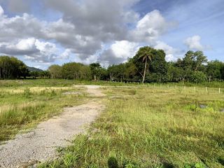 For sale land in Takua Thung, Phang Nga