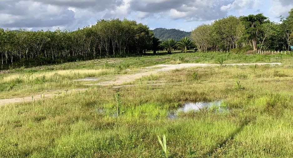 For sale land in Takua Thung, Phang Nga