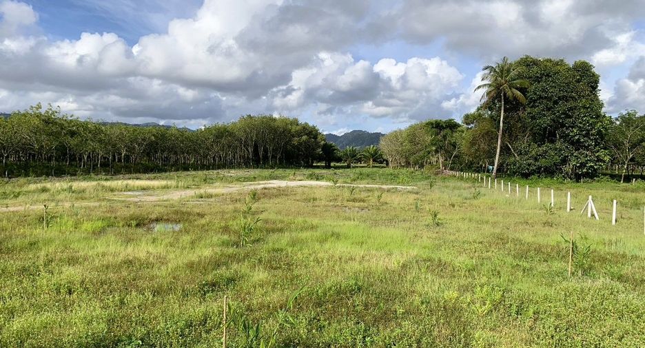 For sale land in Takua Thung, Phang Nga