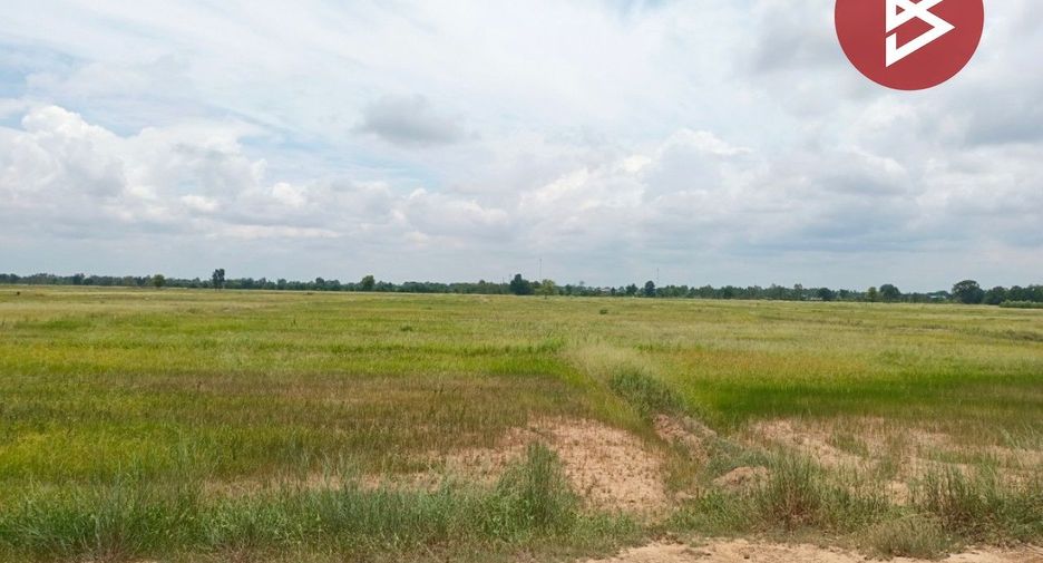 For sale land in Wang Sai Phun, Phichit