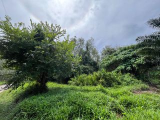 Terreno en venta en Takua Thung, Phang Nga