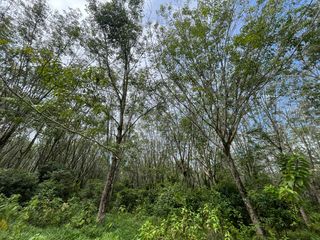 Terreno en venta en Takua Thung, Phang Nga