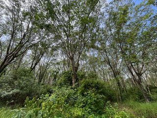 Terreno en venta en Takua Thung, Phang Nga