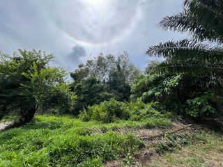 Terreno en venta en Takua Thung, Phang Nga