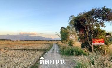 For sale land in Phu Sang, Phayao