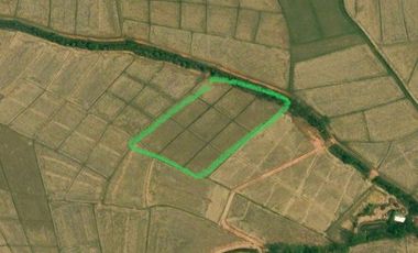 For sale land in Phu Sang, Phayao