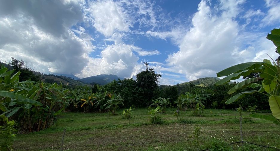 For sale land in Wiang Pa Pao, Chiang Rai