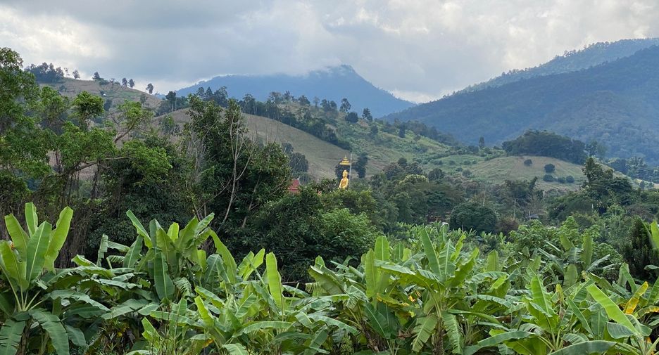 For sale land in Wiang Pa Pao, Chiang Rai