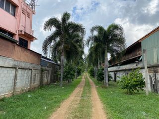 For sale land in Wiang Pa Pao, Chiang Rai