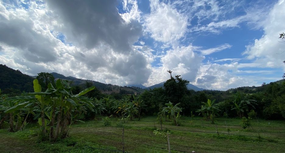 For sale land in Wiang Pa Pao, Chiang Rai