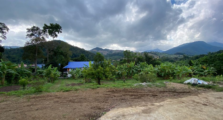 For sale land in Wiang Pa Pao, Chiang Rai