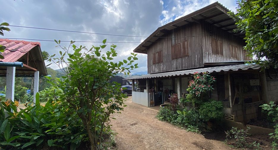 For sale land in Wiang Pa Pao, Chiang Rai