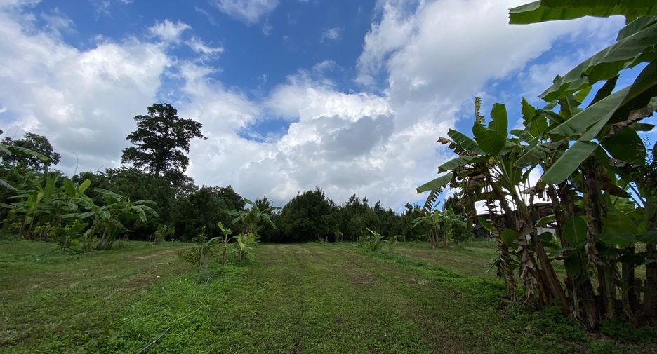 For sale land in Wiang Pa Pao, Chiang Rai