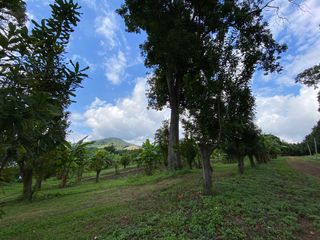 For sale land in Wiang Pa Pao, Chiang Rai