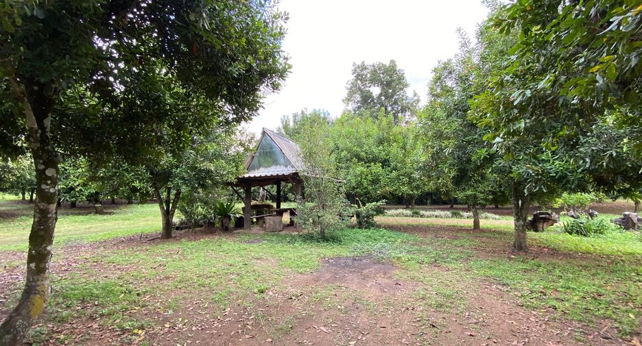 For sale land in Wiang Pa Pao, Chiang Rai