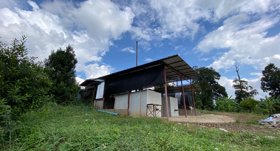 For sale land in Wiang Pa Pao, Chiang Rai