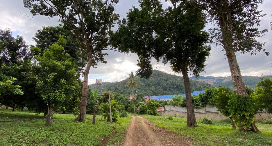 For sale land in Wiang Pa Pao, Chiang Rai