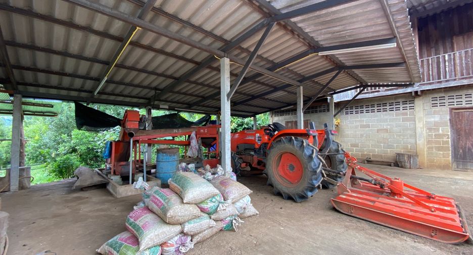 For sale land in Wiang Pa Pao, Chiang Rai