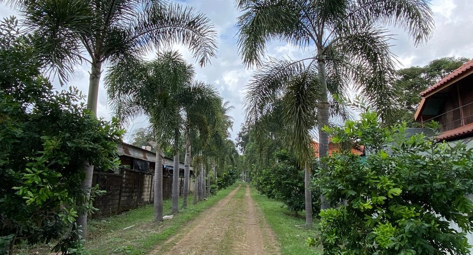 For sale land in Wiang Pa Pao, Chiang Rai