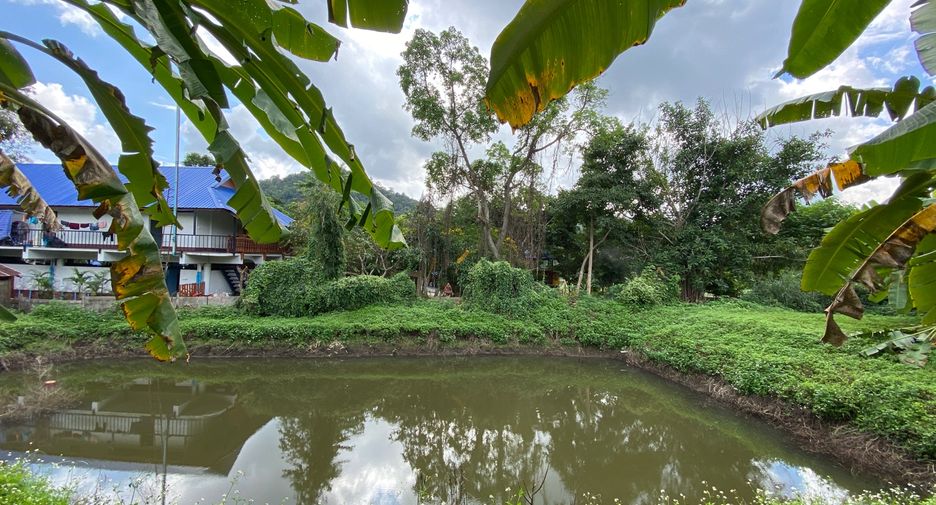 For sale land in Wiang Pa Pao, Chiang Rai