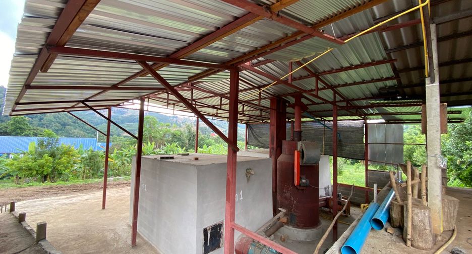 For sale land in Wiang Pa Pao, Chiang Rai