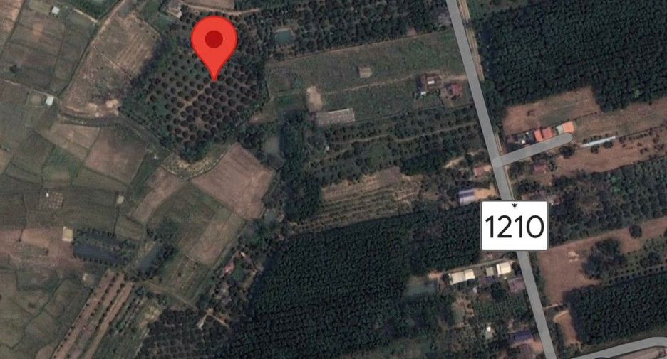 For sale land in Chiang Kham, Phayao