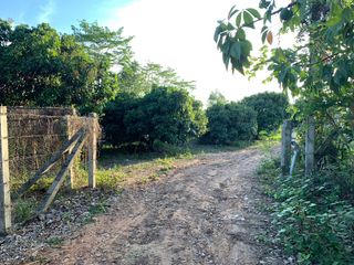 ขาย ที่ดิน ใน เชียงคำ, พะเยา