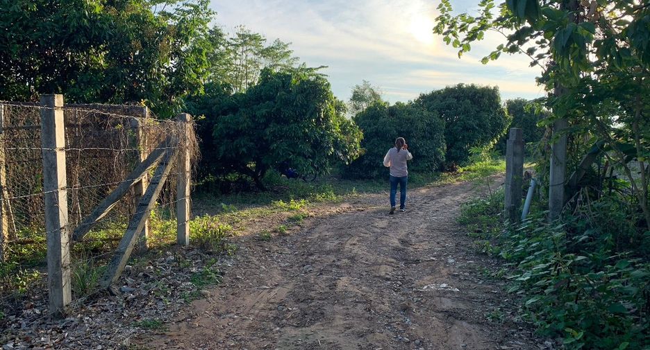 For sale land in Chiang Kham, Phayao
