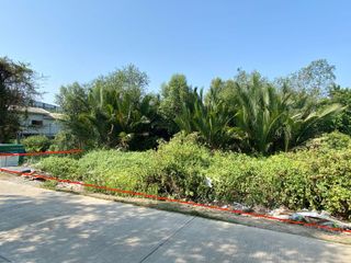 For sale land in Phra Samut Chedi, Samut Prakan