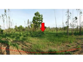 For sale land in Mueang Chaiyaphum, Chaiyaphum