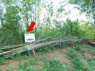 For sale land in Mueang Chaiyaphum, Chaiyaphum