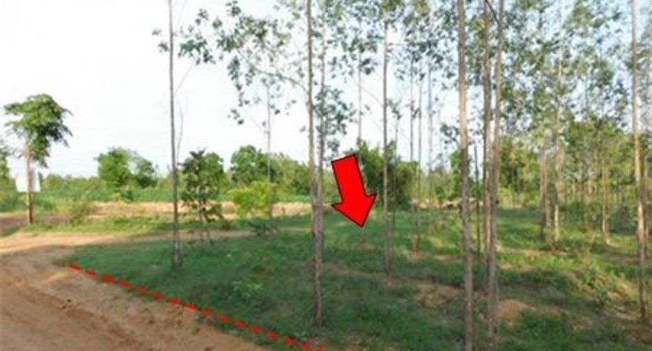 For sale land in Mueang Chaiyaphum, Chaiyaphum