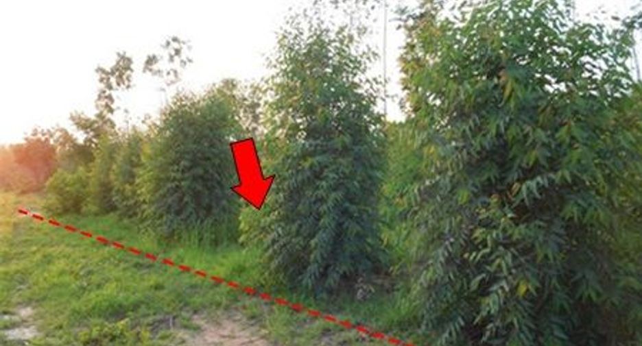 For sale land in Mueang Chaiyaphum, Chaiyaphum