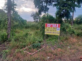 For sale land in Wat Bot, Phitsanulok